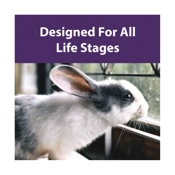 MAZURI RABBIT DIET