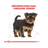 ROYAL CANIN YORKSHIRE PUPPY