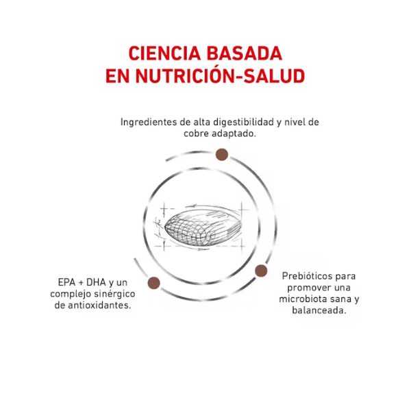 ROYAL CANIN HEPATIC