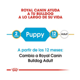 ROYAL CANIN BULLDOG PUPPY