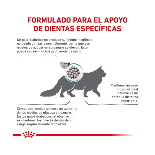 ROYAL CANIN GLYCOBALANCE FELINO