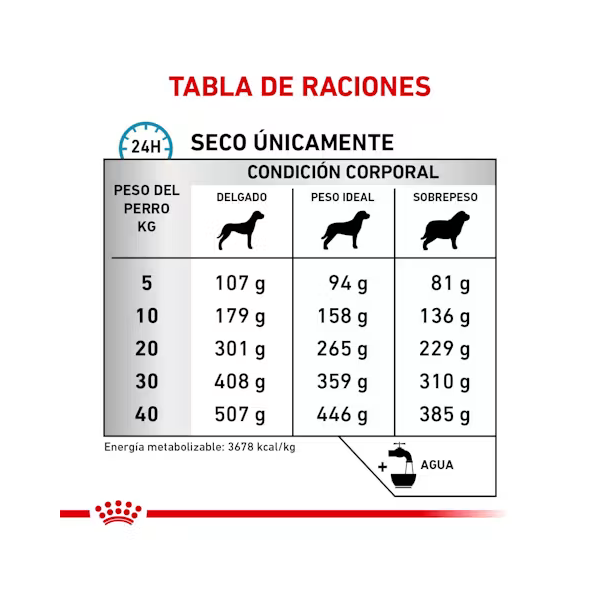 ROYAL CANIN ANALLERGENIC