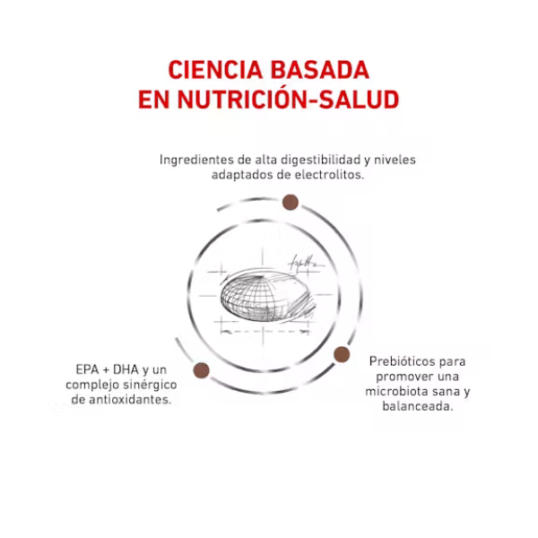 ROYAL CANIN GASTRO HIGH ENERGY