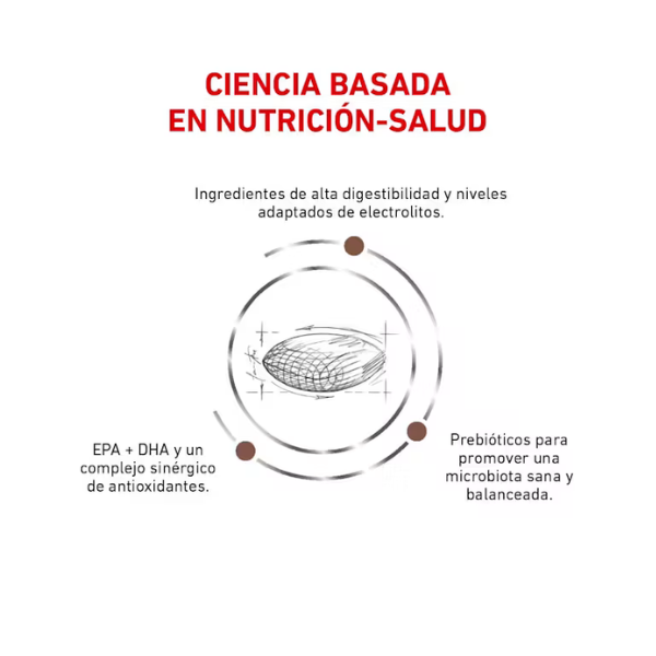 ROYAL CANIN GASTRO LOW FAT