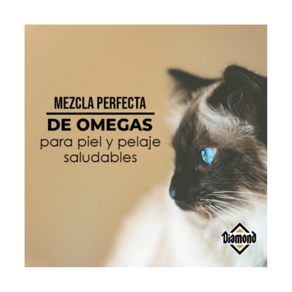 DIAMOND MAINTENANCE CAT