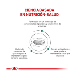 ROYAL CANIN GLYCOBALANCE FELINO
