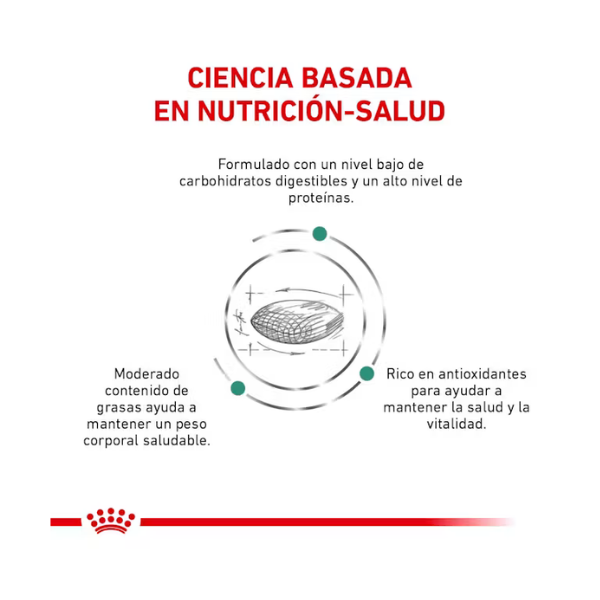 ROYAL CANIN GLYCOBALANCE FELINO