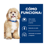 HILLS H/D CANINO