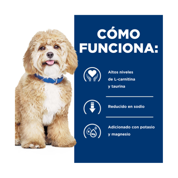 HILLS H/D CANINO