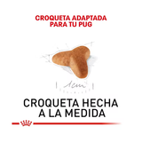 ROYAL CANIN PUG PUPPY