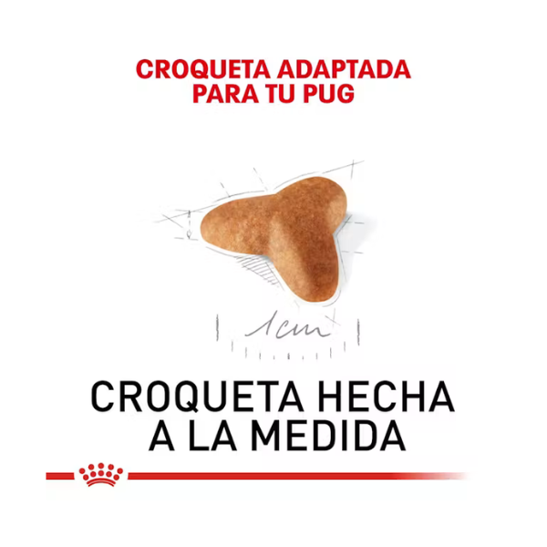 ROYAL CANIN PUG PUPPY