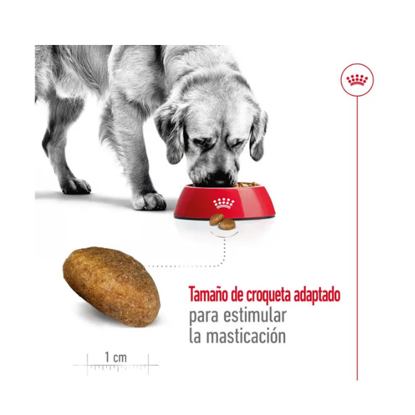 ROYAL CANIN MAXI ADULT