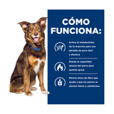 HILLS METABOLIC CANINO