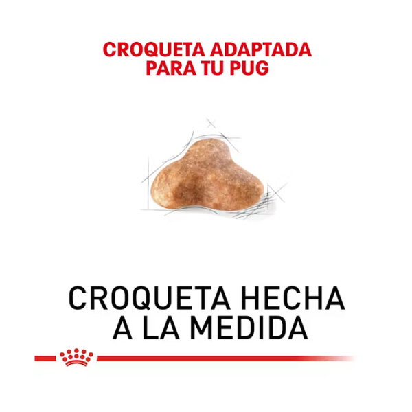 ROYAL CANIN PUG