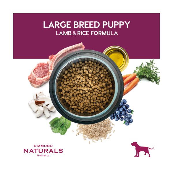 DIAMOND NATURALS LARGE BREED PUPPY