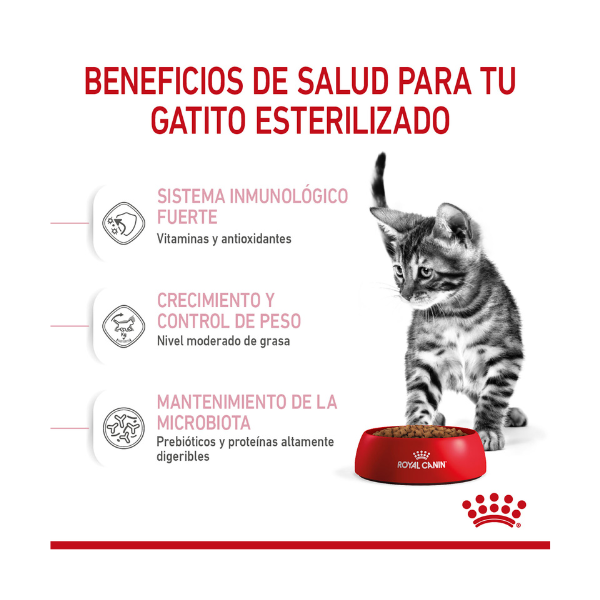 ROYAL CANIN KITTEN SPAYED