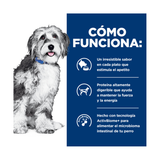 HILLS ONC CARE CANINO