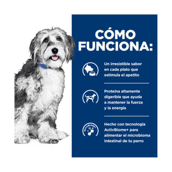 HILLS ONC CARE CANINO
