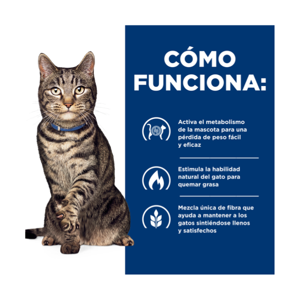 HILLS METABOLIC GATO