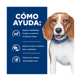 HILLS R/D CANINO