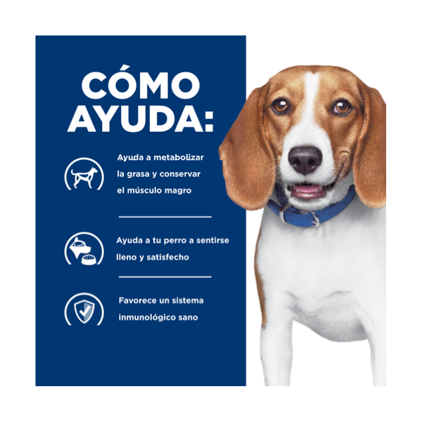 HILLS R/D CANINO