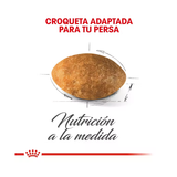 ROYAL CANIN PERSIAN
