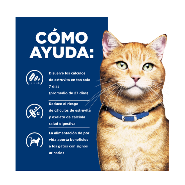 HILLS C/D FELINO