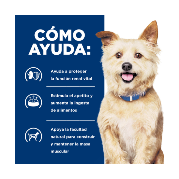 HILLS K/D CANINO