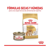 ROYAL CANIN POMERANIAN ADULT