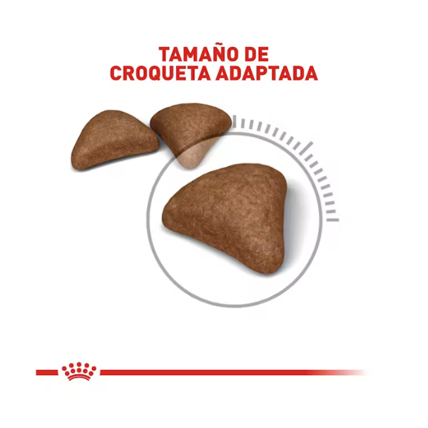 ROYAL CANIN FELINE HAIRBALL CARE