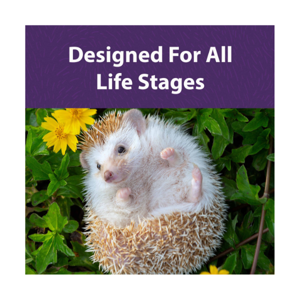MAZURI HEDGEHOG DIET