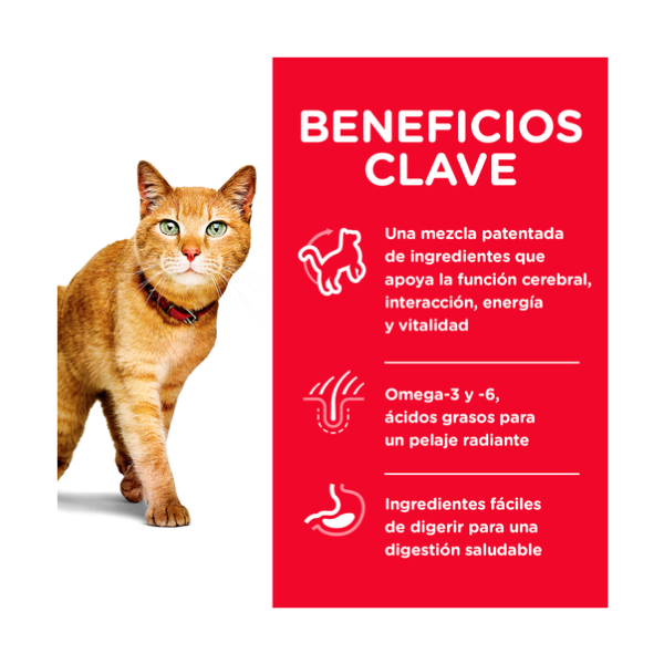 HILLS GATO SENIOR VITALITY ADULT +7