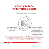 ROYAL CANIN SATIETY SUPPORT