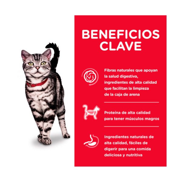 HILLS FELINE ADULT INDOOR