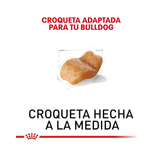 ROYAL CANIN BULLDOG ADULT