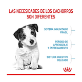 ROYAL CANIN MINI PUPPY