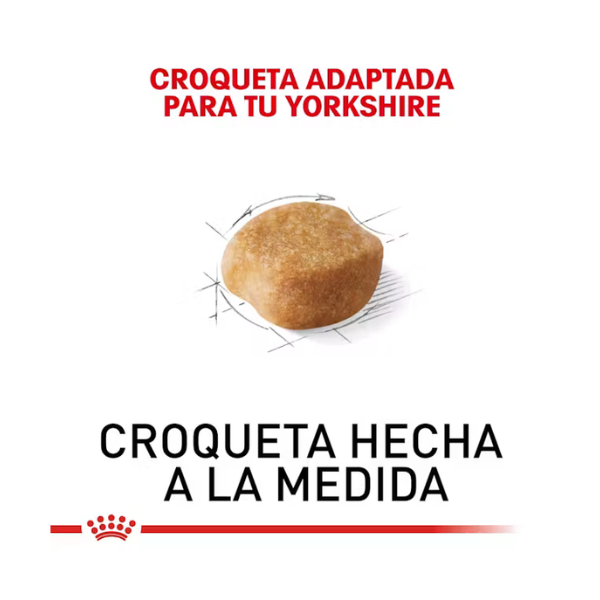 ROYAL CANIN YORKSHIRE