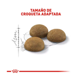 ROYAL CANIN INDOOR ADULT