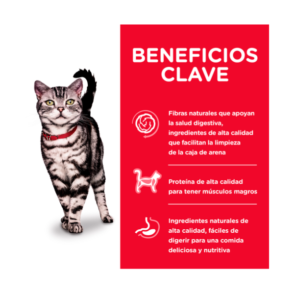 HILLS ADULT FELINO INDOOR
