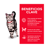 HILLS ADULT FELINO INDOOR