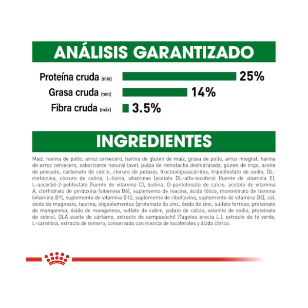 ROYAL CANIN MINI MATURE +8 AÑOS