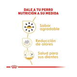ROYAL CANIN CHIHUAHUA ADULT