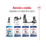 ROYAL CANIN MAXI ADULT