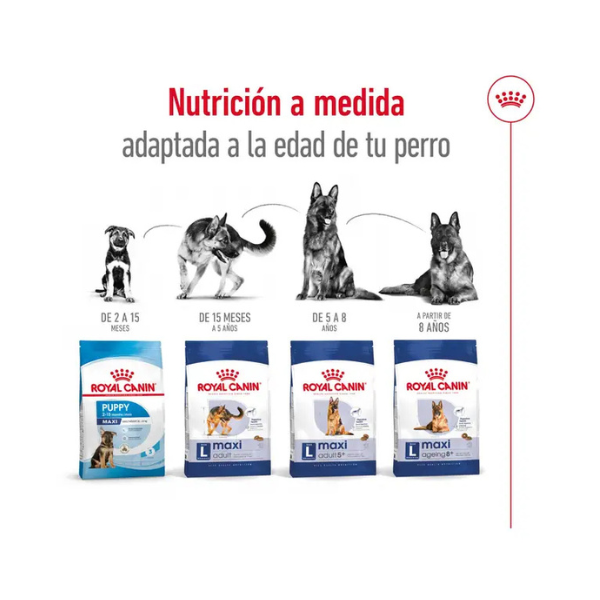 ROYAL CANIN MAXI ADULT