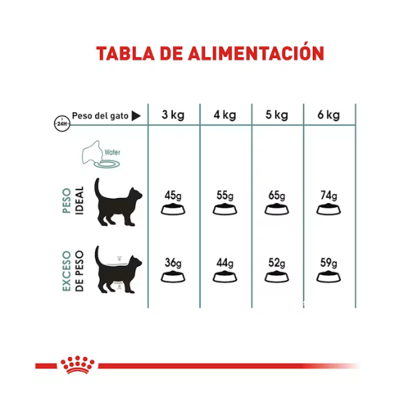 ROYAL CANIN FELINE HAIRBALL CARE