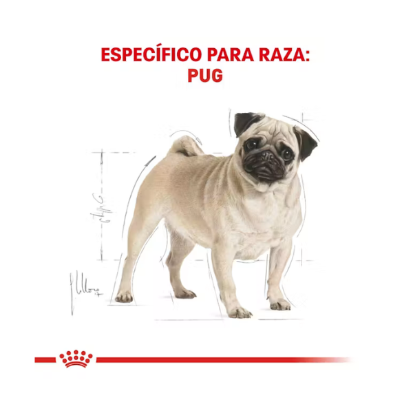 ROYAL CANIN PUG