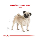 ROYAL CANIN PUG