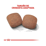ROYAL CANIN GIANT ADULT
