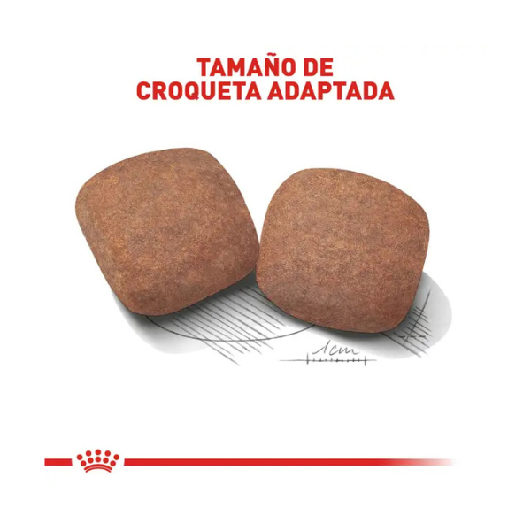 ROYAL CANIN GIANT ADULT