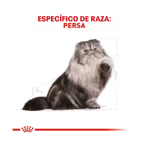 ROYAL CANIN PERSIAN